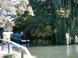 river wey2web.jpg